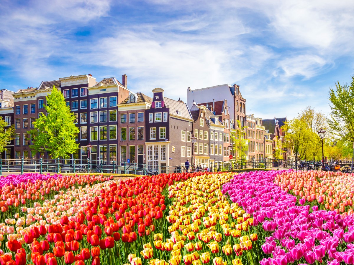 中小企業のEU 市場進出、オランダという選択